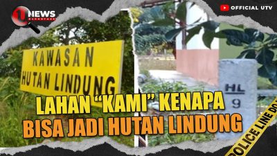 [VIDEO] Karut Marut Penetapan Hutan Lindung Bintan | U-NEWS REPORTASE