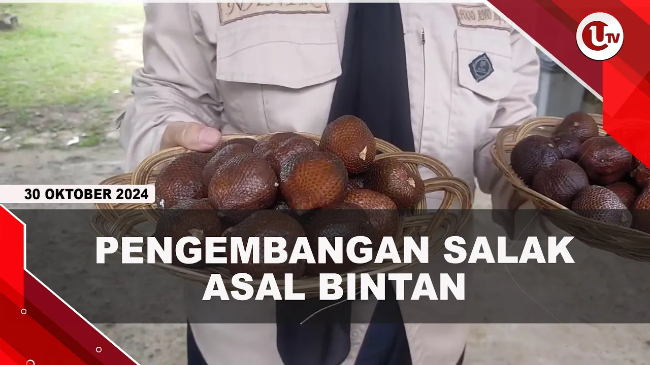 Pemkab Bintan Kembangkan Salak Sari Intan Jadi Komoditi Unggulan
