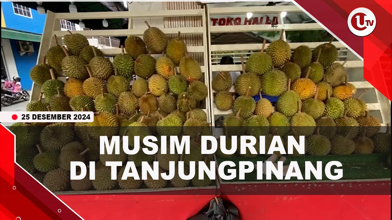Durian Dijual 35 Ribu Hingga 100 Ribu Rupiah Per Kilogram