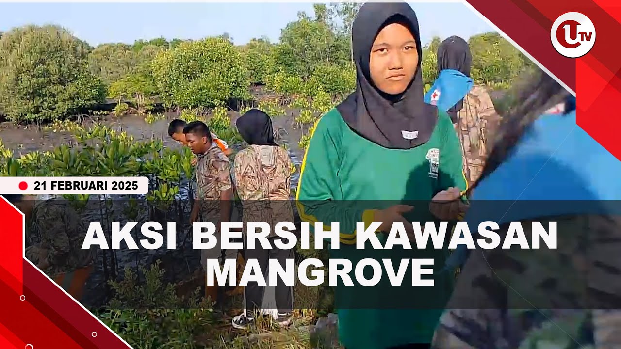 Hari Peduli Sampah, LSM Alim Kepri Gelar Aksi Bersih di Kawasan Mangrove