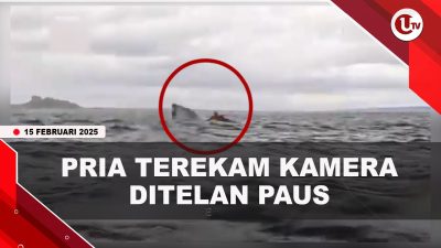 [VIDEO] Ngeri, Pria Ini Ditelan Paus Lalu Dimuntahkan