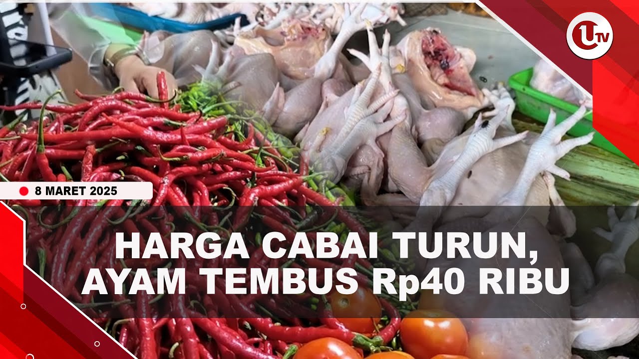 Harga Cabai di Bintan Turun, Ayam Potong Naik Tembus Rp40 Ribu Per Kg