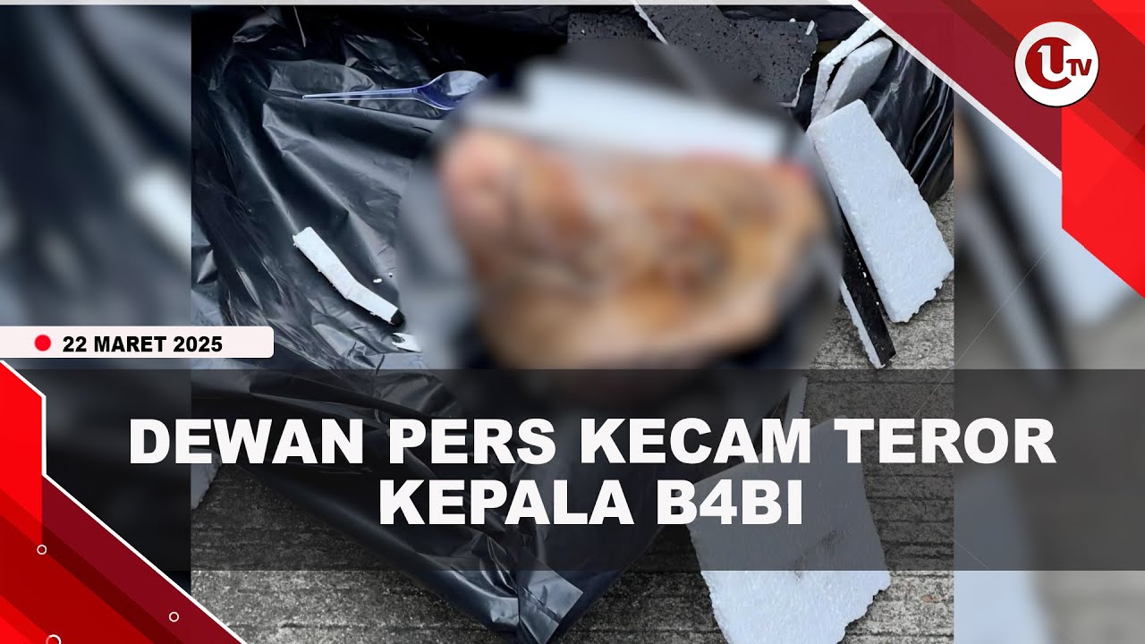 Dewan Pers Kecam Teror Pengiriman Kepala Babi ke Jurnalis Tempo
