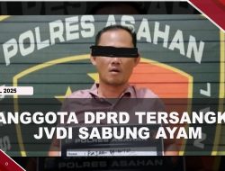 [VIDEO] Jadi Tersangka, Anggota DPRD Asahan Buka Arena Judi Sabung Ayam