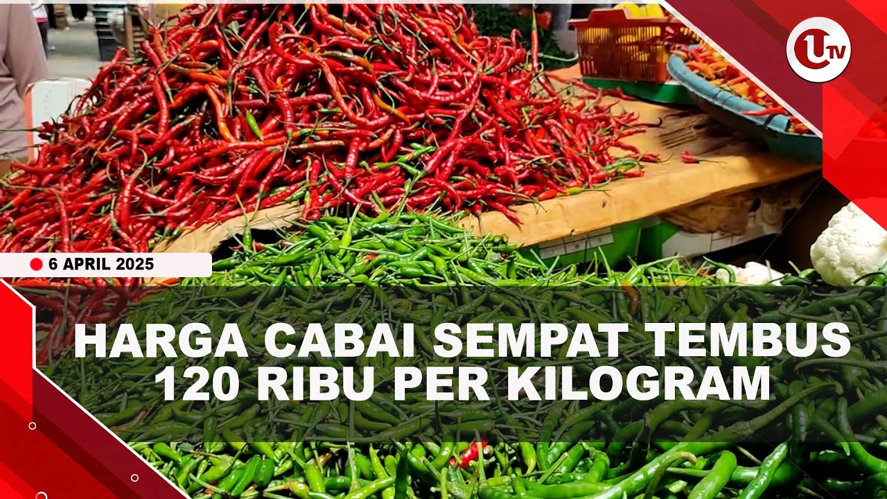Harga Cabai di Tanjungpinang Mulai Turun