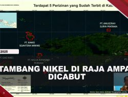 [VIDEO] Prabowo Cabut 4 Izin Usaha Tambang Nikel Di Raja Ampat