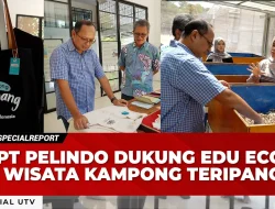 [VIDEO] PT Pelindo Dukung Pengelolaan Ekosistem Laut