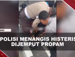 [VIDEO] Oknum Polisi Menangis Histeris Dijemput Propam Di Jalan