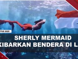 [VIDEO] Gubernur Malut Sherly Kibarkan Bendera Merah Putih Di Dasar Laut | U-NEWS