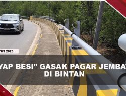 [VIDEO] Pagar Besi Jembatan Hingga Lampu Jalan Di Bintan Lenyap Dicuri Maling | U-NEWS