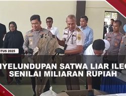 [VIDEO] Ekspor Satwa Liar Ilegal Milik WNA Vietnam di Batam Terbongkar | U-NEWS