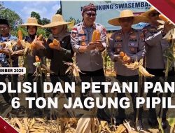 [VIDEO] Polsek Bintan Timur Dan Petani Panen 6 Ton Jagung Pipil | U-NEWS