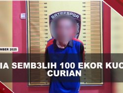 [VIDEO] Polres Pagaralam Tangkap Penjual Daging Kucing | U-NEWS