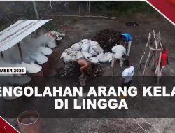 [VIDEO] Melayu Raya Garap Pengolahan Arang Kelapa, Hidupkan Ekonomi Lokal | U-NEWS