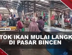 [VIDEO] Stok Ikan Langka Hingga Harga Melonjak Di Pasar Bintan Center | U-NEWS