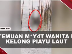 [VIDEO] Warga Temukan M4y4t Wanita Tersangkut Di Kelong Piayu Laut | U-NEWS