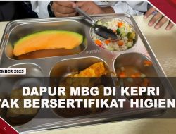 [VIDEO] Semua Dapur MBG di Kepri Tak Bersertifikat Higienis | U-NEWS