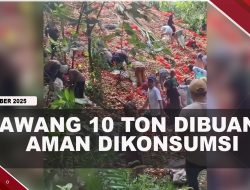 [VIDEO] DKPP Batam Pastikan Bawang 10 Ton Yang Dibuang Aman Dikonsumsi | U-NEWS