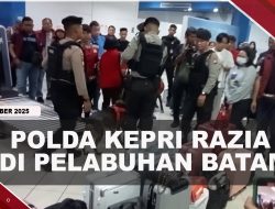 [VIDEO] Polda Kepri Razia Di Pelabuhan Internasional Batam, 5 Anjing Pelacak Diturunkan | U-NEWS