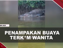 [VIDEO] Wanita T3w4s Dit3rk4m Bvay4 Saat Mandi di Sungai Lasolo Sultra | U-NEWS