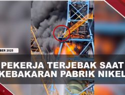 [VIDEO] Ngeri, 2 Pekerja Terjebak Saat Kebakaran di Menara Pabrik Nikel | U-NEWS