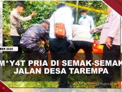 [VIDEO] M4y4t Pria di Semak-Semak Diduga Pegawai Imigrasi Tarempa | U-NEWS