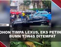 [VIDEO] Mantan Direktur BUMN T3w4s Usai Mobil Lexus Tertimpa Pohon Palem | U-NEWS