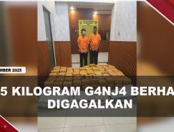 [VIDEO] Polda Sumut Gagalkan Penyelundupan Ganja 255kg