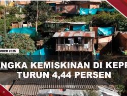 [VIDEO] Wagub Nyanyang Ungkap Angka Kemiskinan di Kepri Turun 4,44 Persen | U-NEWS