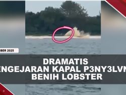 [VIDEO] Bea Cukai Kepri Gagalkan P3ny3lundvp4n Benih Lobster Senilai Rp28 Miliar | U-NEWS
