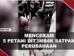 [VIDEO] 5 Petani di Bengkulu Dit3mb4k Satpam Perusahan Sawit, Gegara Konflik Lahan | U-NEWS