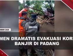 [VIDEO] Momen Dramatis Petugas Evakuasi Korban Meninggal Banjir Bandang di Padang | U-NEWS