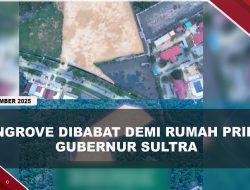 [VIDEO] Hutan Mangrove 3 Hektare Dibabat Diduga Untuk Rumah Pribadi Gubernur Sultra | U-NEWS