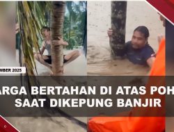 [VIDEO] Momen Dramatis Tim SAR Aceh Evakuasi Warga Terjebak Banjir di Atas Pohon  | U-NEWS