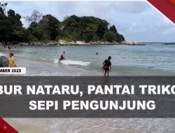 [VIDEO] Pengelola Pantai Trikora Keluhkan Sepi Pengunjung Anjlok 70 Persen | U-NEWS