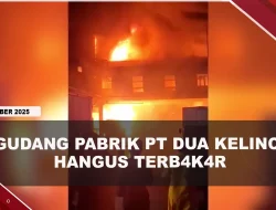 [VIDEO] Gudang Pabrik PT Dua Kelinci Hangus T3rb4k4r | U-NEWS