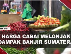 [VIDEO] Harga Cabai di Tanjungpinang Tembus Rp120 Ribu Per Kg | U-NEWS