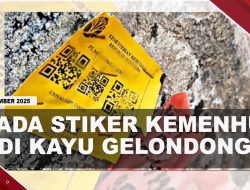 [VIDEO] Gelondongan Kayu Tertempel Stiker Kementrian Kehutanan Indonesia | U-NEWS