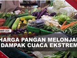 [VIDEO] Harga Bawang Dan Sayur Melonjak di Bintan Dampak Dari Cuaca Ekstrem | U-NEWS