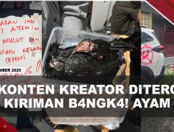 [VIDEO] Kritik Penanganan Bencana, 2 Konten Kreator Dapat T3r0r Kiriman B4ngk4! Ayam | U-NEWS