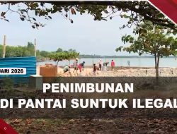 [VIDEO] Satpol PP Akui Penimbunan Pantai Suntuk Tanjungpinang Tak Berizin | U-NEWS