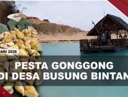 [VIDEO] Ribuan Pengunjung Menikmati Gonggong Gratis di Gurun Telaga Biru Bintan | U-NEWS