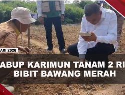 [VIDEO] Perkuat Ketahanan Pangan, Wabup Karimun Tanam 2.000 Bibit Bawang Merah | U-NEWS
