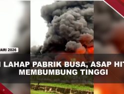 [VIDEO] Diduga Sambaran P3t!r, Pabrik Busa di Jepara Ludes T3rb4k4r | U-NEWS