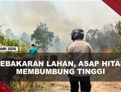 [VIDEO] Kebakaran Lahan 3 Hektare di Senggarang , Asap Hitam Membumbung Tinggi | U-NEWS