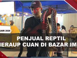 [VIDEO] Stand Reptil di Bazar Imlek Ramai Dikunjungi Untuk Berfoto | U-NEWS
