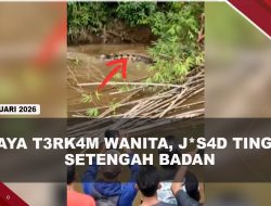 [VIDEO] Dramatis, Evakuasi Wanita Dit3rk4m Buaya Saat Cari Kerang di Sungai | U-NEWS