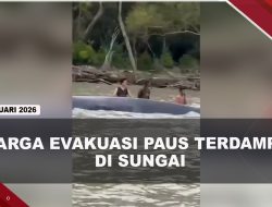 [VIDEO] Paus Sepanjang 15 Meter Terdampar di Sungai Perairan OKI | U-NEWS
