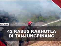 [VIDEO] Damkar Tanjungpinang Catat 42 Kasus Karhutla Sepanjang Januari 2026 | U-NEWS