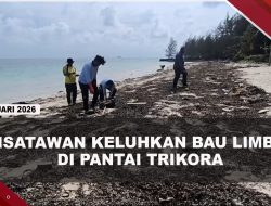 [VIDEO] Limbah Oli Menyebar di Pantai Trikora, Wisatawan Keluhkan Bau Menyengat | U-NEWS
